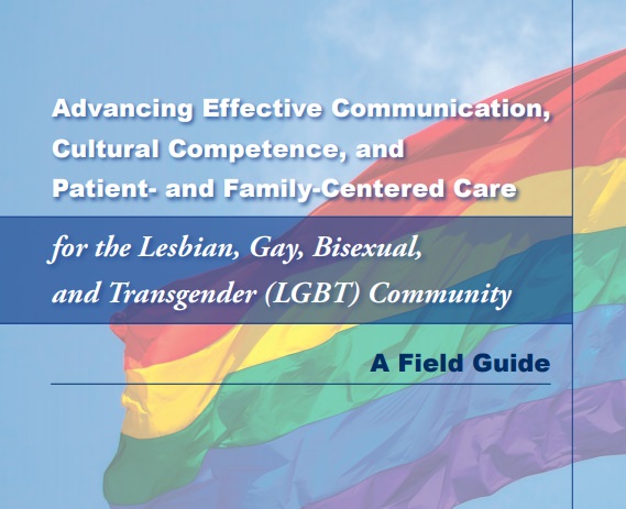 Advancing Effective Communication, Cultural Competence, and Patient- and Family-Centered Care for the Lesbian, Gay, Bisexual, and Transgender (LGBT) Community-A Field Guide